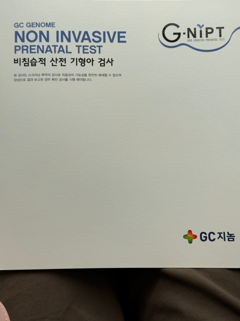 16주 신경관결손 검사 | 임신중기19주 태동 입덧 사라짐