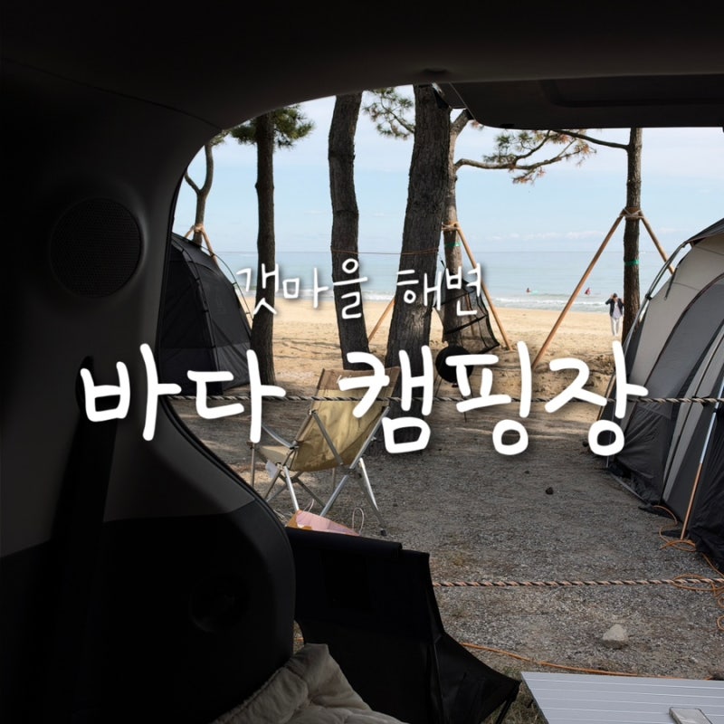 [양양] 갯마을 해수욕장 야영장 / 차박 노지 캠핑장
