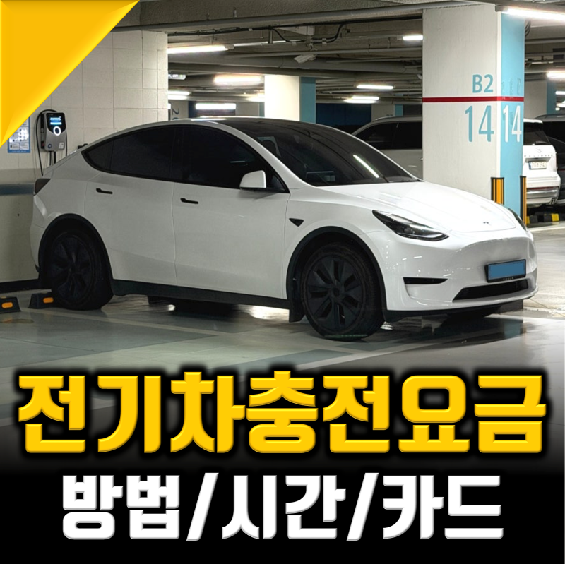 전기차 충전요금 시간 카드발급, 대충 쓰면 손해다?