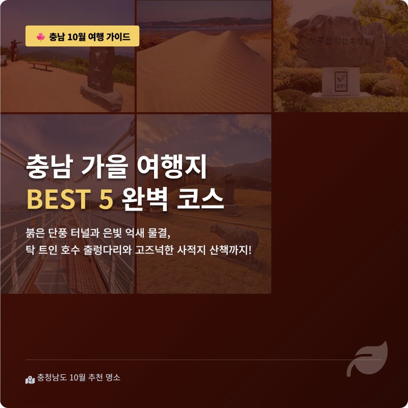 충남에서 10월에 가볼만한곳 + 가을 여행지 베스트 5 부터 단풍과 억새 명소 까지 총정리
