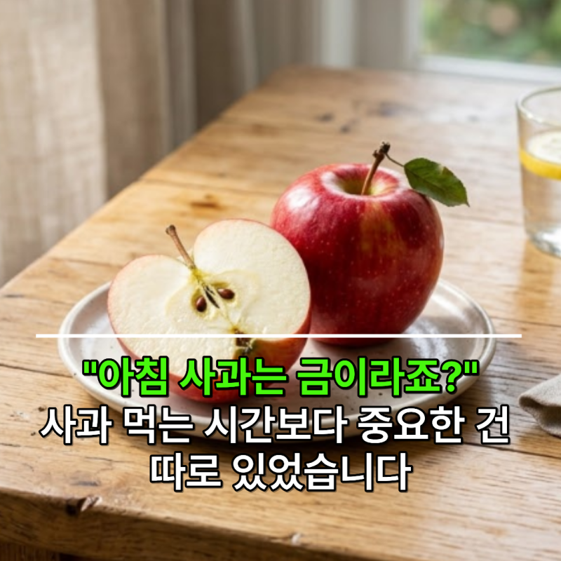 "아침 사과는 금, 저녁 사과는 독" 정말 맞을까? 사과 효능 알아보니
