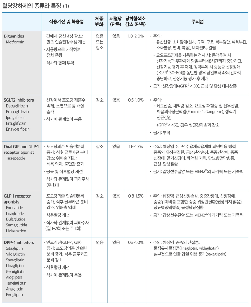 당뇨약 공부하기.