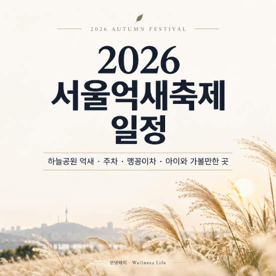 2026 서울억새축제 일정｜하늘공원 억새·주차·맹꽁이차·아이와 가볼만한 곳