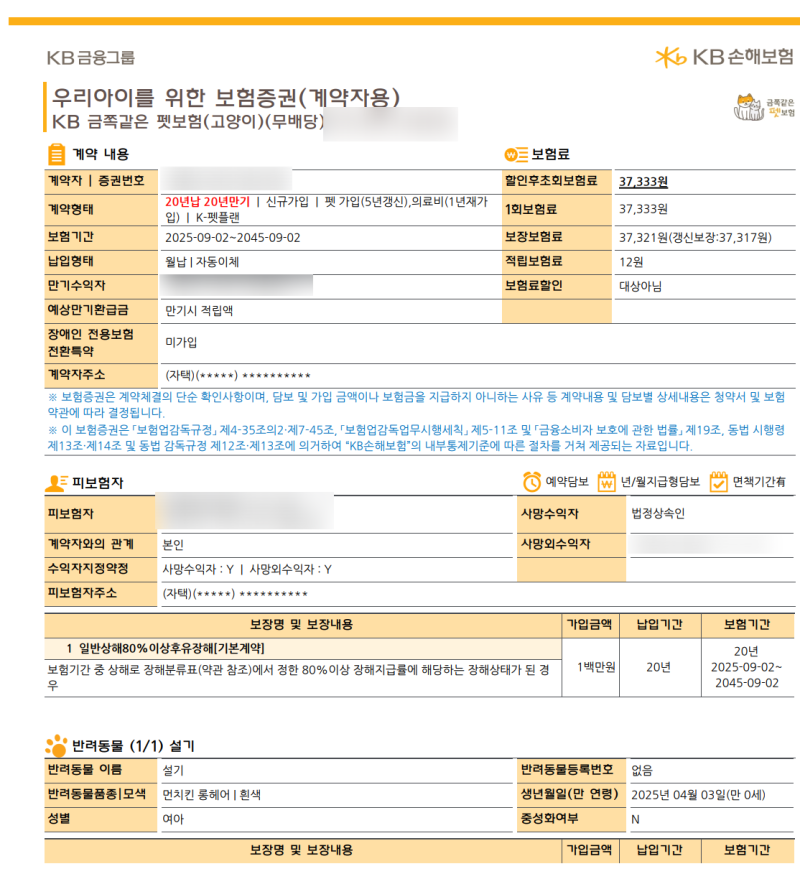 고양이 펫보험 비교, 월 37,333원으로 준비한 보장내용 총정리