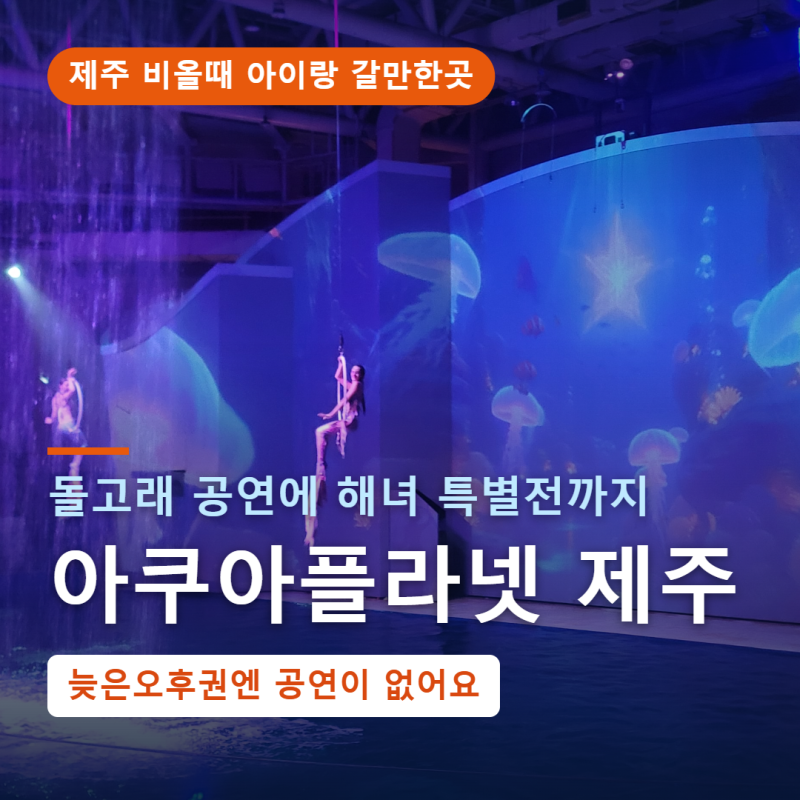 제주 아쿠아플라넷 제주 실내 비올때 아이랑 갈만한곳(교육), 돌고래 쇼, 식당 푸드코트 메....
