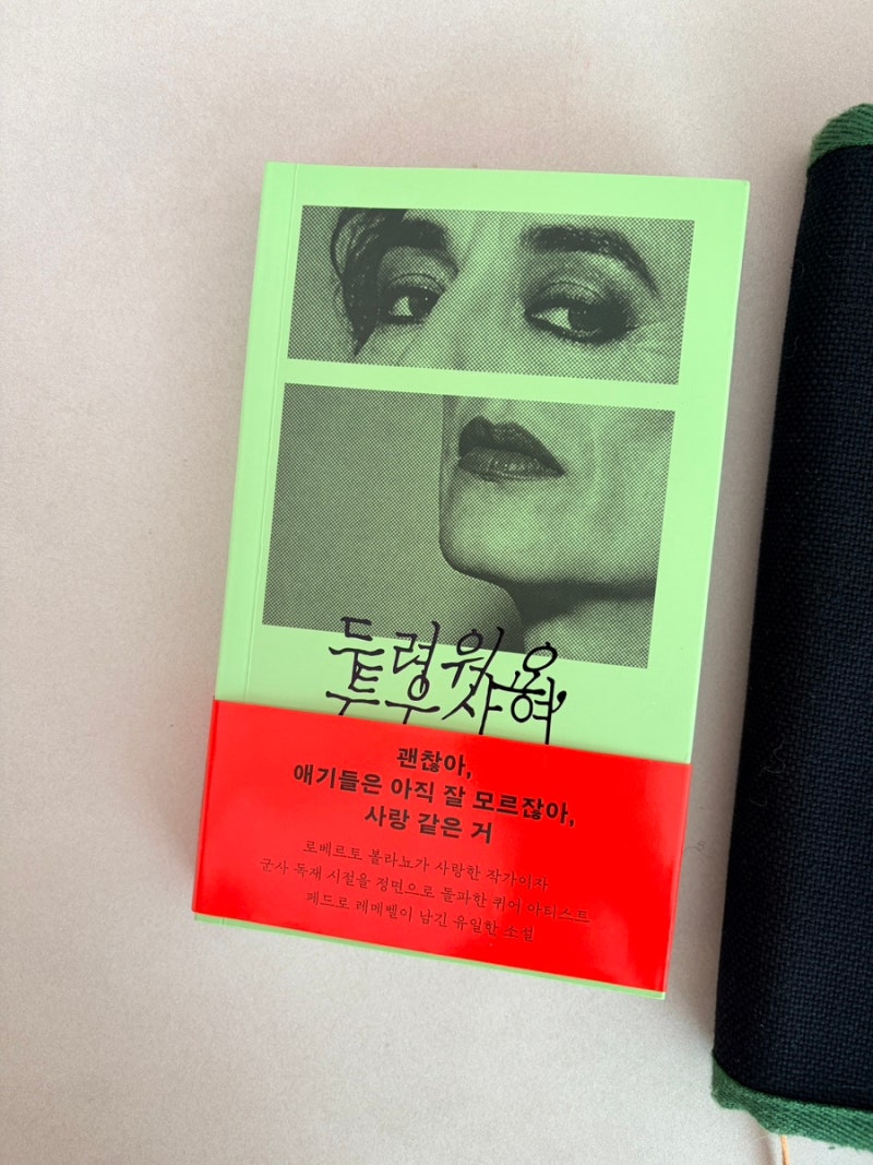 두려워요, 투우사여 :: 페드로 레메벨 / 임도울 옮김(2026-102)