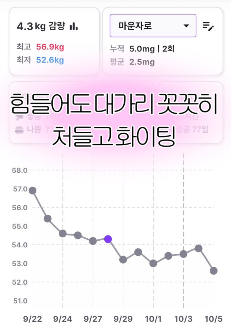 정상체중 마운자로 2주차 후기 2.5mg 총 4kg 감량