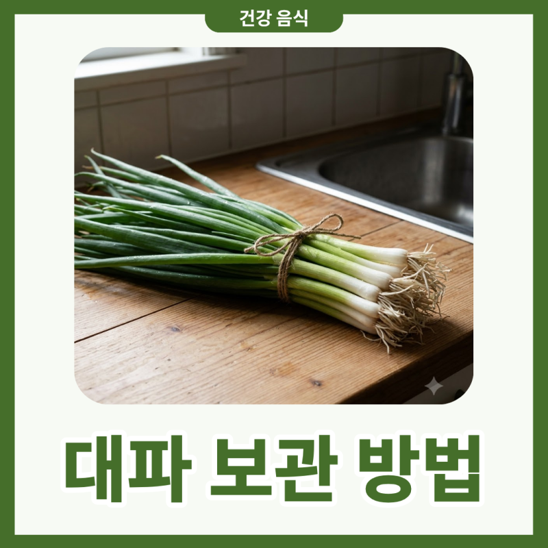 대파 보관 방법 냉장 냉동 기간부터 파채 손질 팁 자세히 알아보기