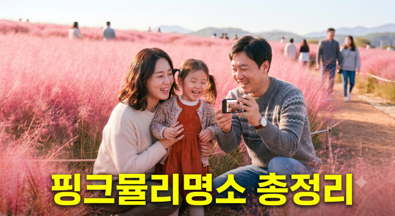 경기도 핑크뮬리 명소 5곳 비교:절정 시기와 코스별 방문 팁