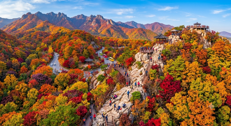 충청도 전라도 경상도, 지방 가을 단풍 어디서 즐겨야 하나?? 백양사 강천산 내장산 담양 메....