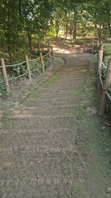 경기 화성 26개월 아기와 함께 동탄호수공원유아숲체험원 솔직후기, 주차정보, 꿀팁