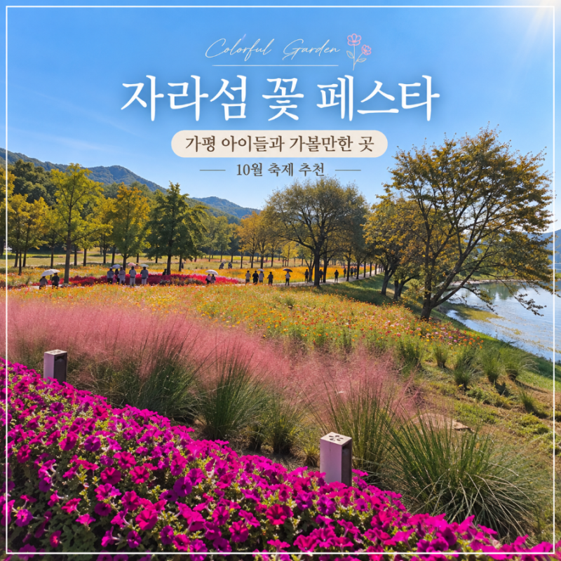 가평 아이들과 가볼만한 곳 자라섬 남도 가을 10월 꽃축제 가족 가을 나들이 추천 코스
