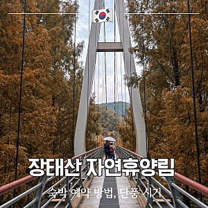 장태산 자연휴양림 예약 방법 숙박 시설 단풍 시기