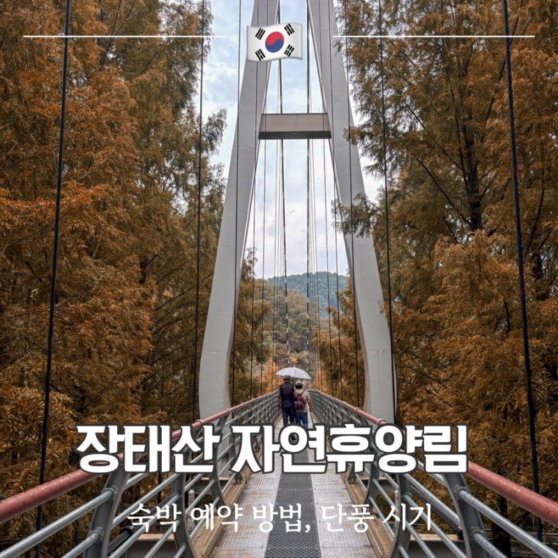 장태산 자연휴양림 예약 방법 숙박 시설 단풍 시기