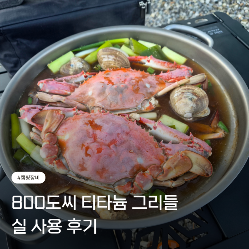 캠핑 그리들 추천! 800도씨 티타늄 그리들 30cm 내돈내산 실 사용 후기
