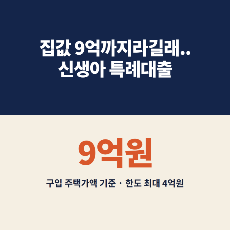 신생아 특례대출 "집값 9억까지라길래.." 소득 2억·순자산, 한도 4억까지