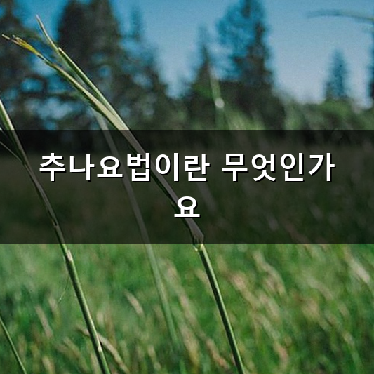 추나 요법 실비 청구 과연 나도 받을 수 있을까