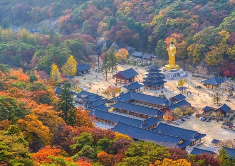 속리산 단풍 절정 2026, 문장대 10월 22일 세조길 10월 26일 (문장대 코스·세조길 정리)