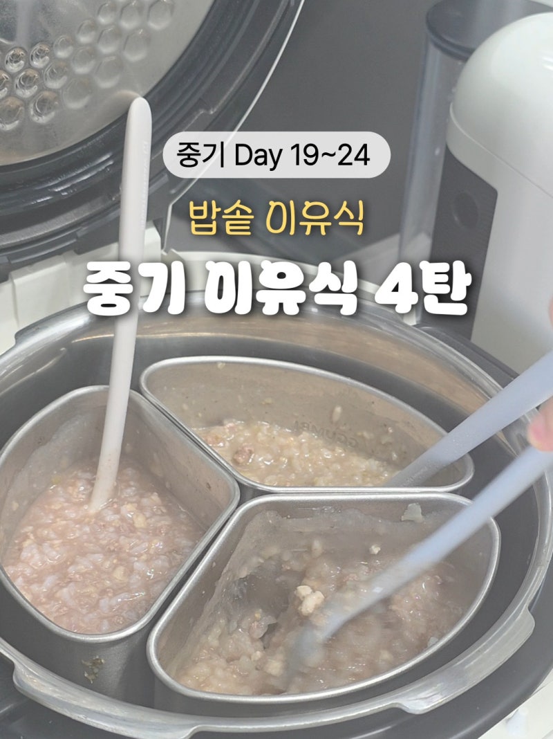 중기 밥솥이유식 레시피 4탄! 꿈비 10인용 밥솥칸막이 황금비율 공유 (new. 적채 연근 두부)