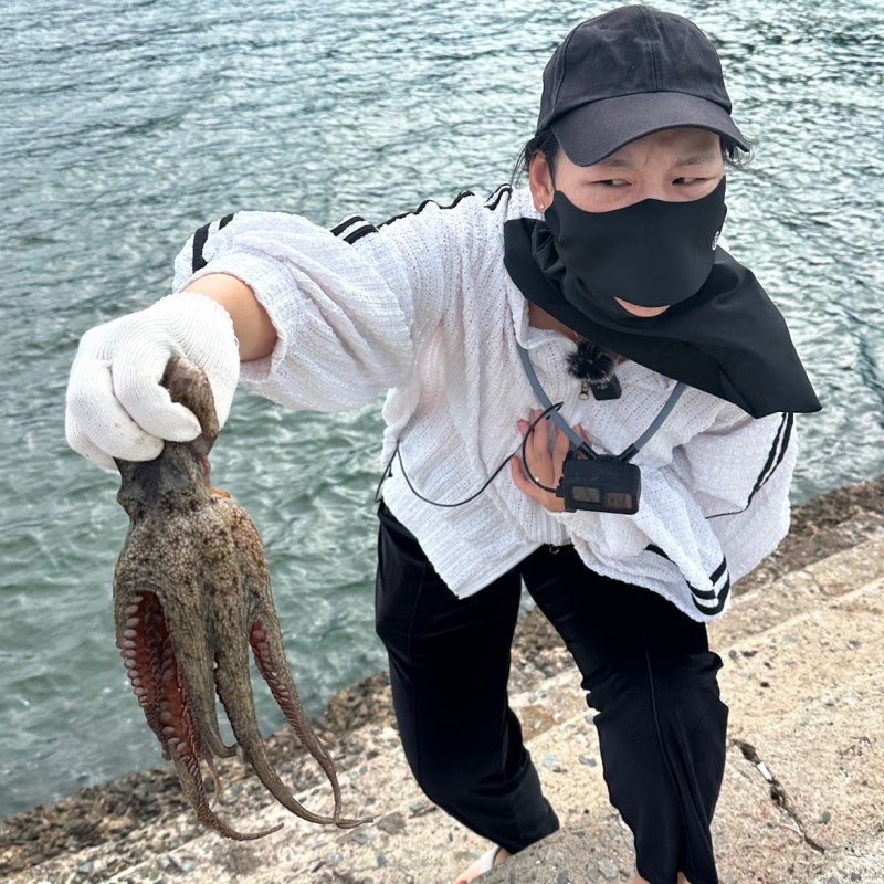 문어 주꾸미 오징어 먹물 안 뿜게 잡는 법, 옷에 묻었을 때 지우는 방법