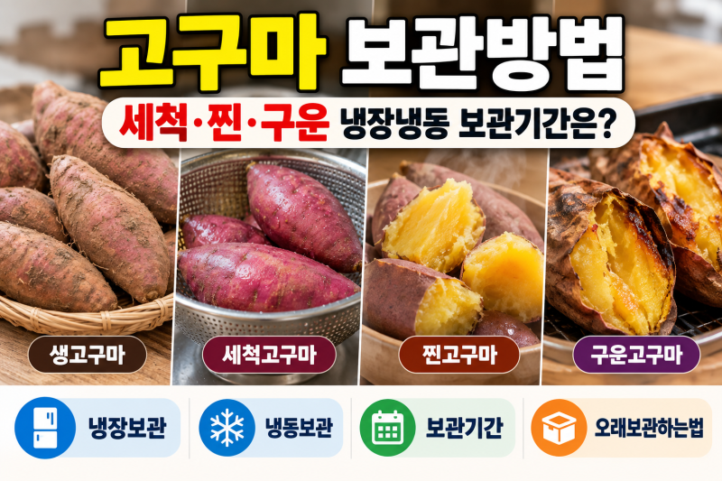 고구마 보관방법, 세척·찐·구운 고구마 냉장 냉동 보관기간은?