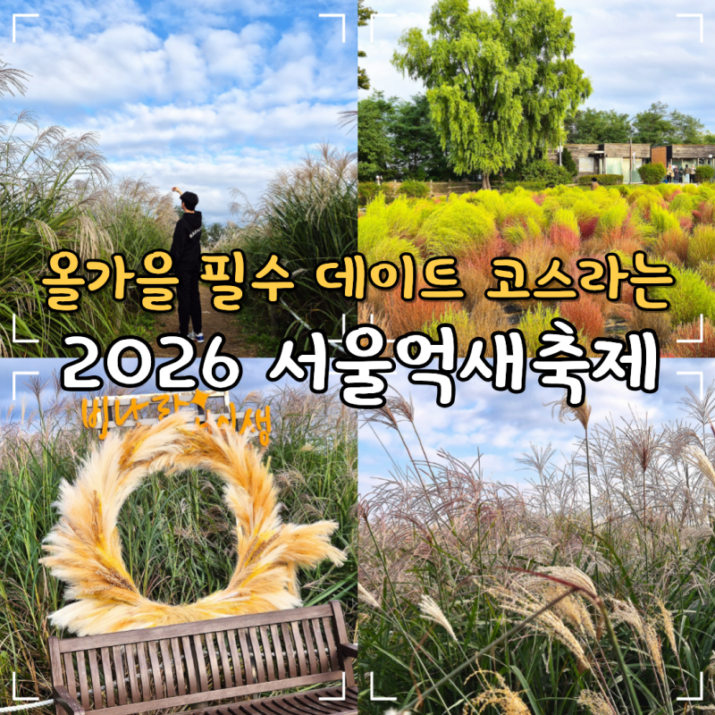 2026 서울 억새축제 상암 하늘공원 일정 프로그램 주차 꿀팁