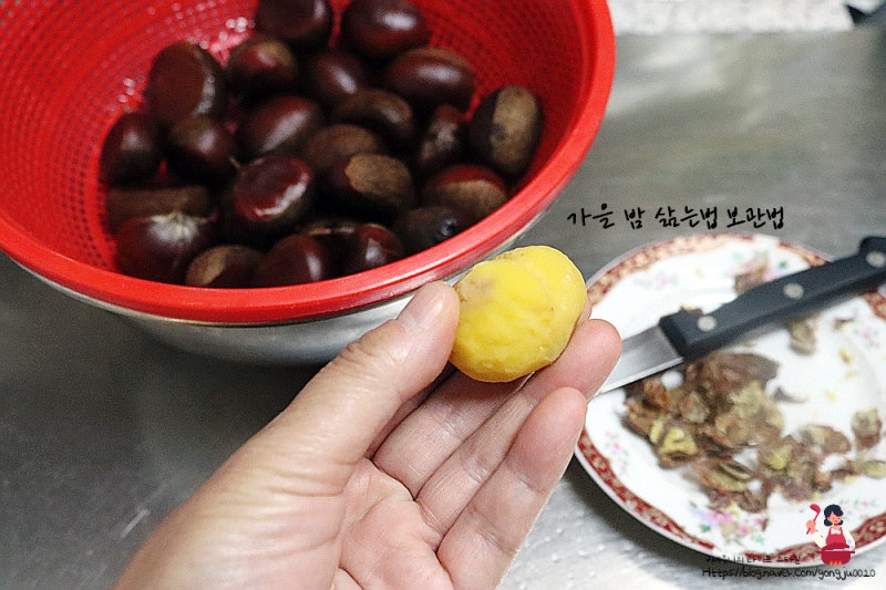 밤 삶는 방법 보관법 삶는시간 손질법 10월 제철 음식