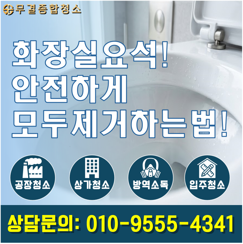 변기 요석 제거, 악취와 세균의 근본 원인을 녹여내는 과학적 공정과 완벽 가이드