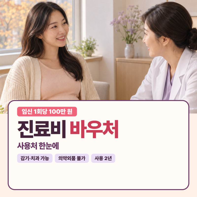 임신 출산 진료비 바우처 사용처, 감기·치과도 될까? 건강보조식품은 안 돼요!