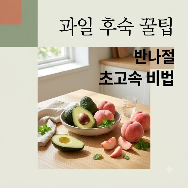 돌덩이 같던 아보카도.. 쌀통에 반나절 넣었더니 생긴 일