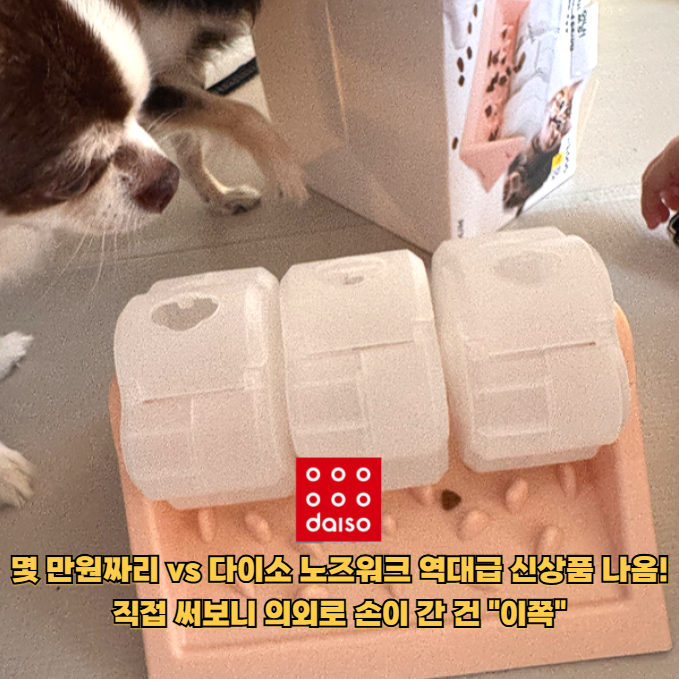 비싼 강아지 장난감부터 사지 마세요!! 다이소에서 먼저 볼 역대급 노즈워크 신상템 3가지