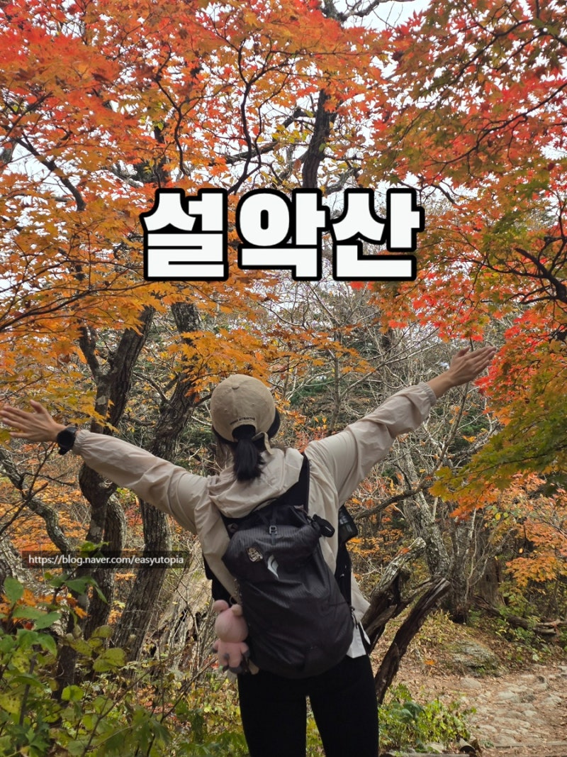 설악산 오색 코스 대청봉 단풍 산행 주차 난이도 소요시간 총정리