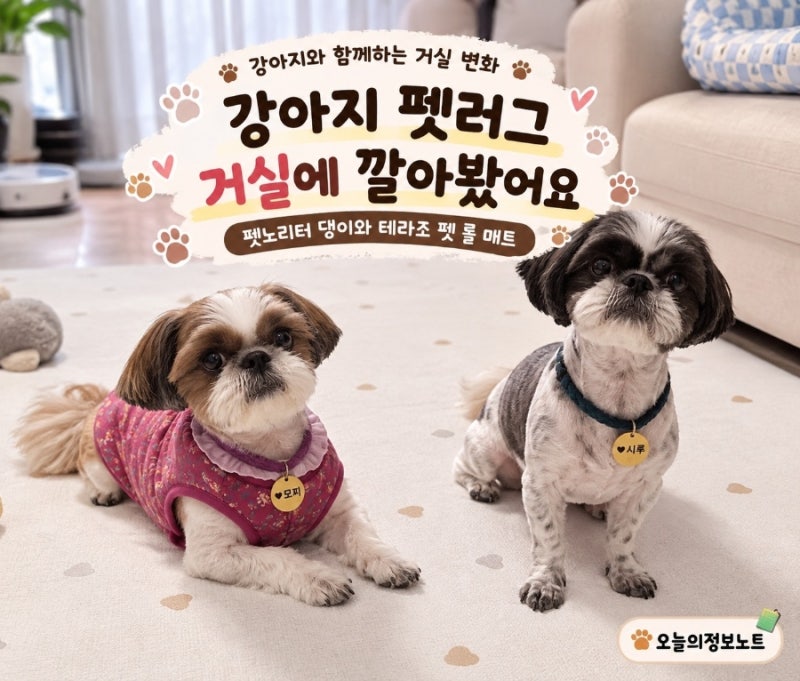 강아지 펫러그 거실에 깔아봤어요｜모찌와 시루가 사용해본 펫 롤 매트
