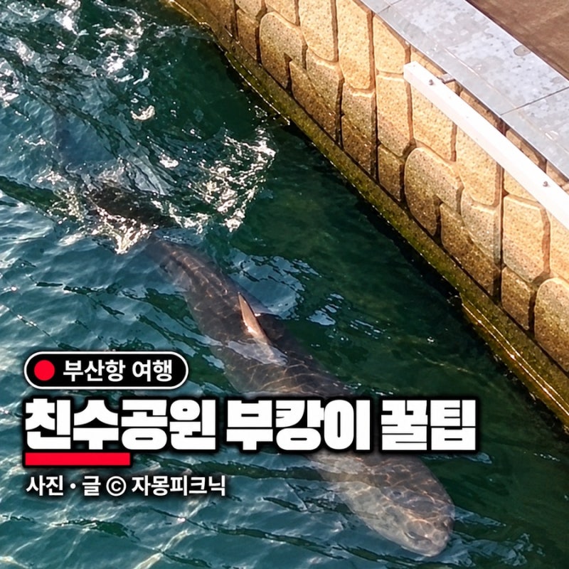 부산항 북항 친수공원 부캉이 위치 주차 지금도 있을까