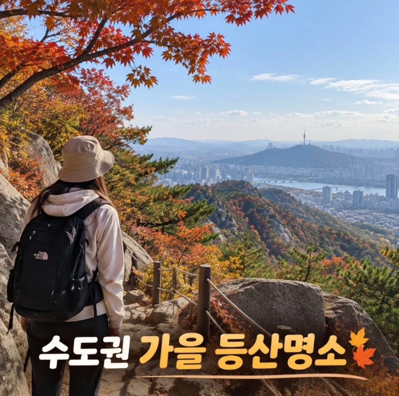 등린이도 갈 수 있는 수도권 가을 등산 추천｜단풍 예쁜 초보자 코스 4곳