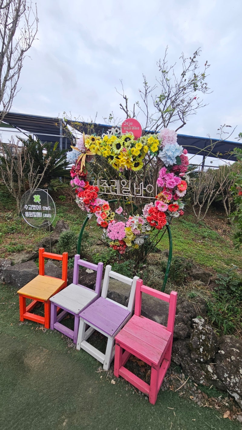 제주 용눈이오름 레일바이크:: 억새 피는 계절, 해 질 녘 아이와 부모님과 즐겨보기 좋은 오....