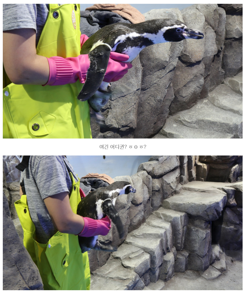 대구 아쿠아리움 할인, 현장 결제 전에 예매처 비교해보세요 (2026년10월 할인하는곳 공유)