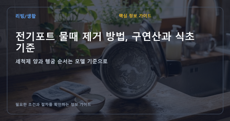전기포트 물때 제거 방법, 구연산과 식초 기준