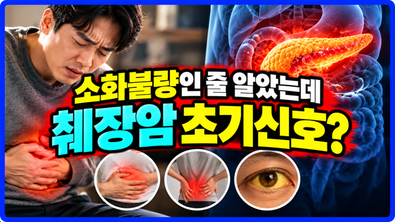 "허리 통증 느껴지면 이미 늦다?" 췌장암 초기 증상과 원인 완벽 정리