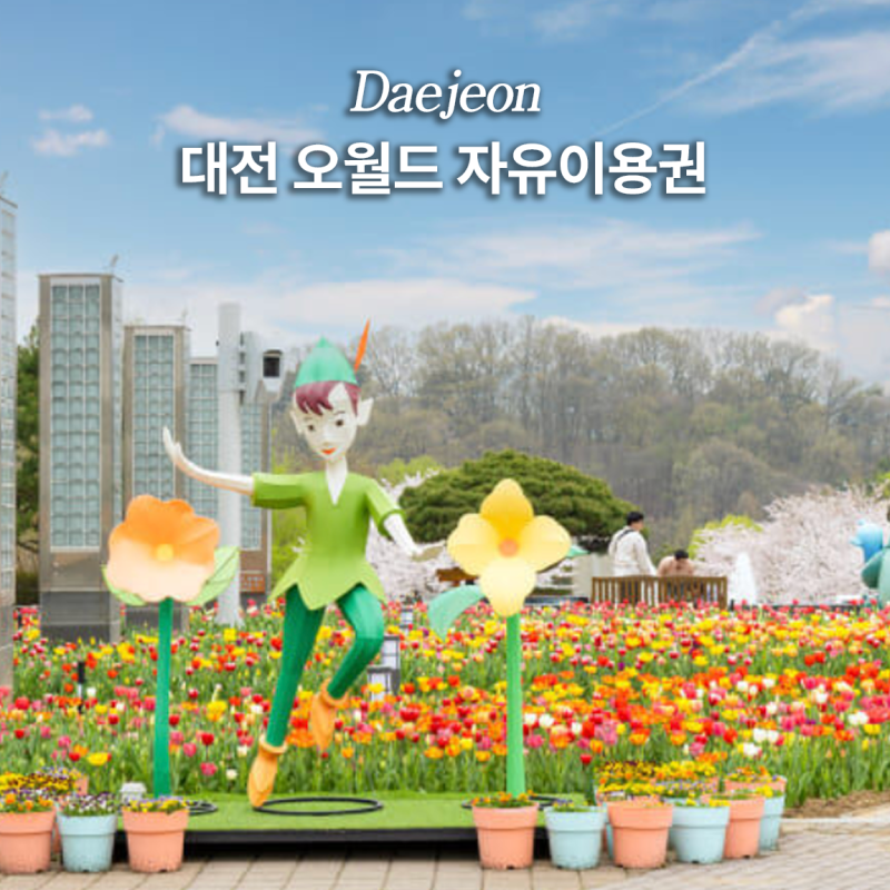 대전 오월드 입장권 할인 카드 예매 가이드
