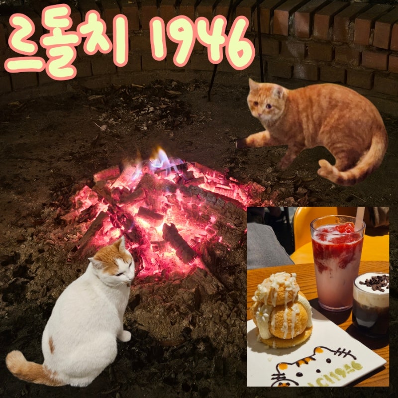 고양 일산 불멍 카페 르돌치 1946 늦게까지 하는 카페 야경 드라이브 추천