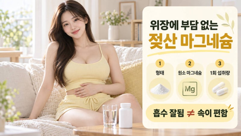 위장에 부담 없는 젖산 마그네슘 추천｜흡수율·함량·복용법까지 고르는 기준