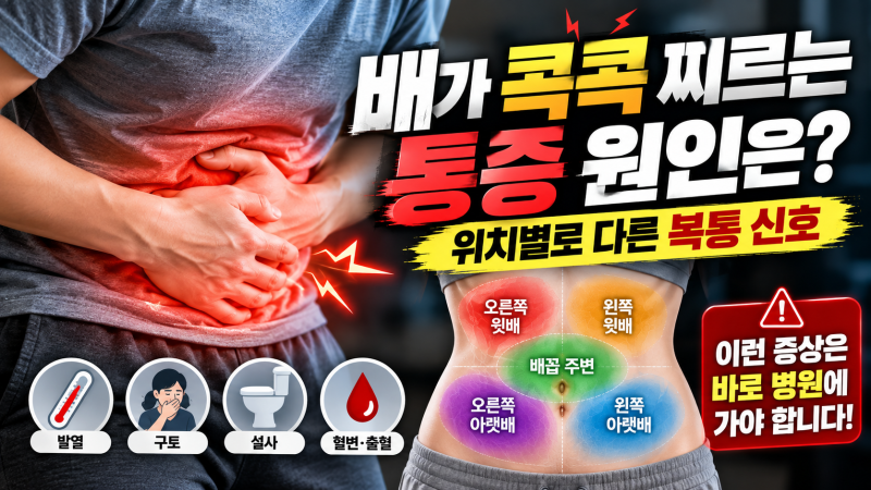 배가 콕콕 찌르는 통증 원인은? 위치별로 다른 복통 신호와 병원 가야 할 때
