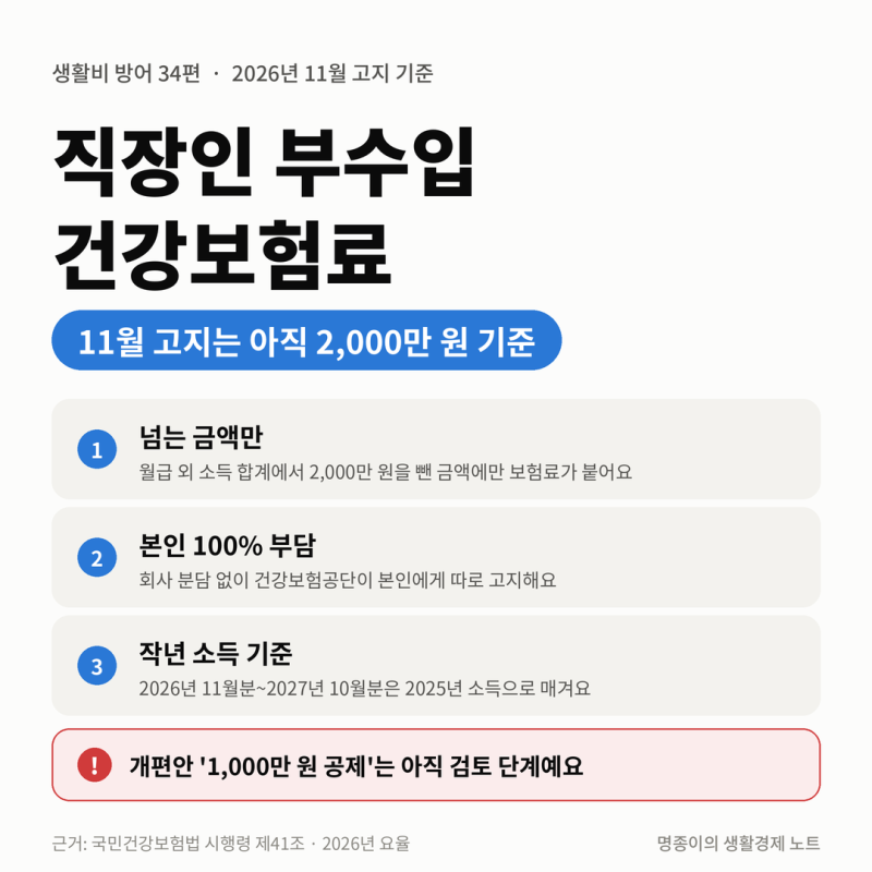직장인 부수입 건강보험료, 1,000만 원부터? 11월 고지는 아직 2,000만 원 기준 (소득월액보험료 ....