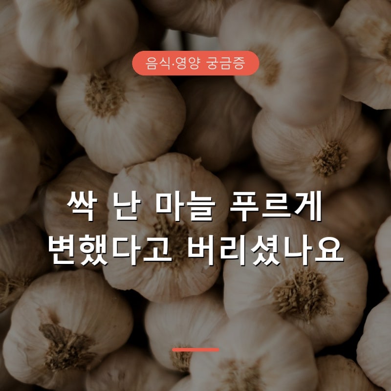싹 난 마늘 푸르게 변했다면 먹어도 될까, 버려야 하는 신호