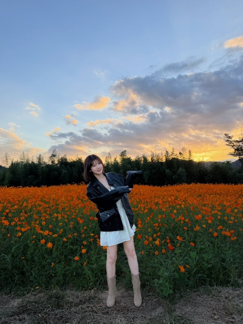 10월 곡성 동화정원 황화코스모스 꽃밭 일몰시간 방문후기와 팁