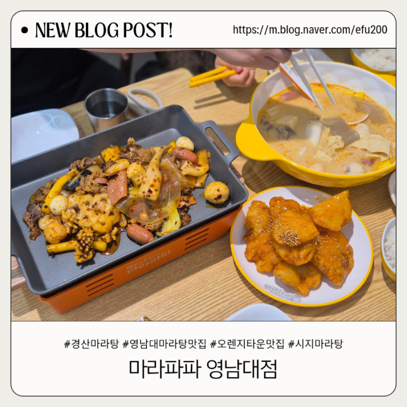 경산마라탕맛집 마라파파 영남대점, 깔끔하고 가성비 좋은 곳