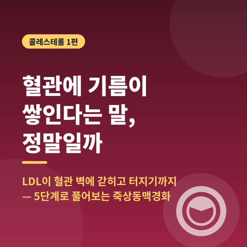 콜레스테롤, 죽상동맥경화증 : 혈관에 기름이 쌓인다는 말 정말일까?
