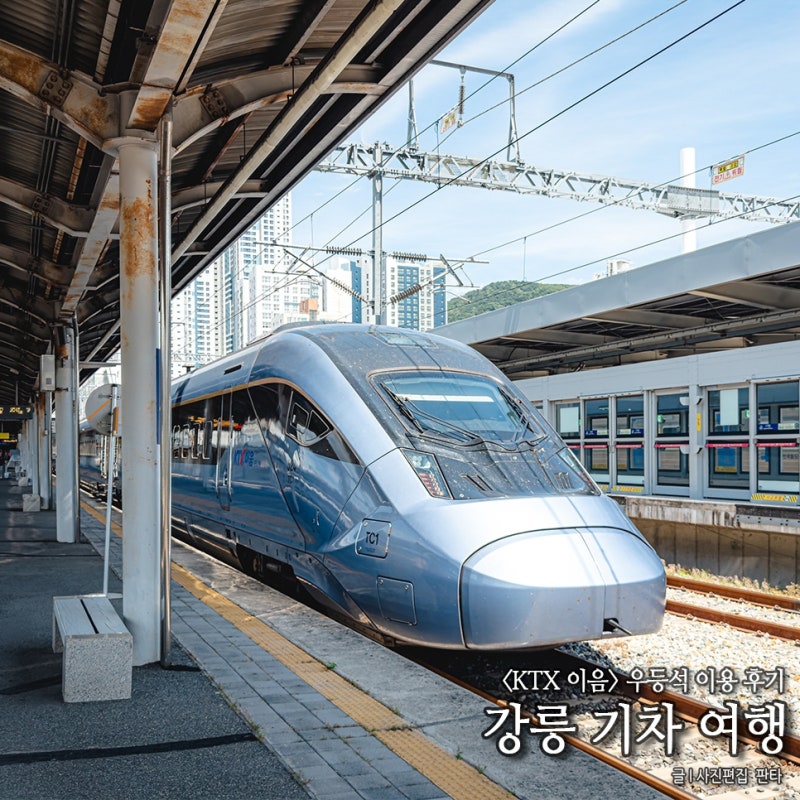 국내 강원도 강릉 기차여행 추천 KTX 강릉 이음 특실