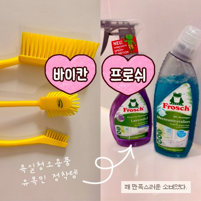 북유럽 감성 바이칸 청소솔, 프로쉬 욕실 세제 내돈내산 후기(feat. 욕실 청소 도구 유목민)